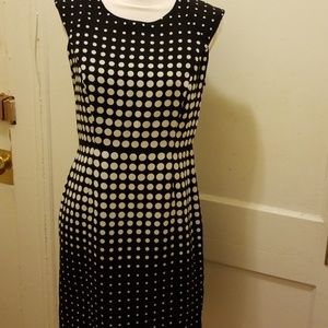 Navy polka dot dress by premise Sz 6